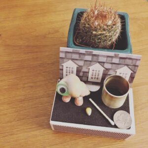 Christopher Larkin Instagram - Day 8: Spiny Pincushion Cactus with Marcel. #plants  #alltheplantsinmyapartment