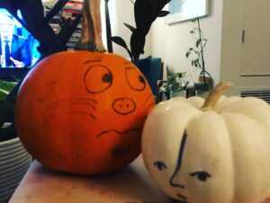 Christopher Larkin Instagram - Day 21: Pumpkins. Every October, we buy a couple from the supermarket. Rather than carve them up, we Sharpie them into being. They often survive until the end of the year before they start to turn. Happy first day of fall. #plants #alltheplantsinmyapartment