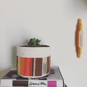 Christopher Larkin Instagram - Day 6: Crassula Ovata (Jade Plant) with books and StudBuddy. #alltheplantsinmyapartment
