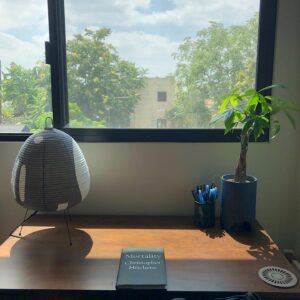 Christopher Larkin Instagram - Day 3: Money Tree (Pachira Aquatica) #alltheplantsinmyapartment