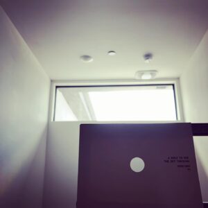 Christopher Larkin Instagram - Day 16: ZZ Plant with ‘a hole to see the sky through.’ #plants #alltheplantsinmyapartment
