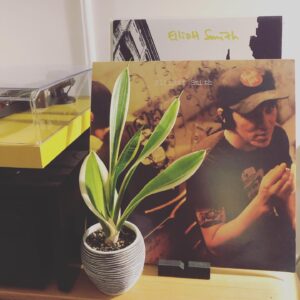 Christopher Larkin Instagram - Day 14: Snake Plant alongside an album that changed my life. #plants #alltheplantsinmyapartment