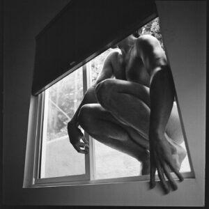 Christopher Lowell Instagram - “The Window,” 2020 (from “Springtime in the Garden”) • Happy Monday, everyone!