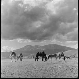 Christopher Lowell Instagram - Remembering this unexpected roll of film I shot 4 years ago today, in the middle of the pandemic, in the middle of Wyoming, after the bus broke down for the third time.