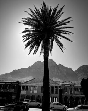 Christopher Massey Instagram - FROM  SOUTH AFRICA WITH LOVE🖤