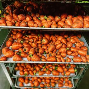 Chuck Hughes Instagram - 🥕Avant ➡️ Après 🥕

We’re OPEN🍽️
Call Jess for reservation. ☎️ 514-678-5044