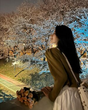 Chung Hye-lyn Instagram - 🌙🌸☀️🌸