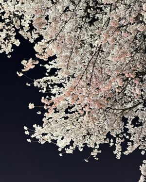 Chung Hye-lyn Instagram - 🌙🌸☀️🌸