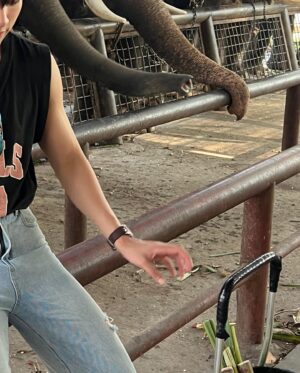 Chunnawan Mandee Instagram - ช้างช้างช้าง น้องเคยเห็นช้างรึป่าว🐘