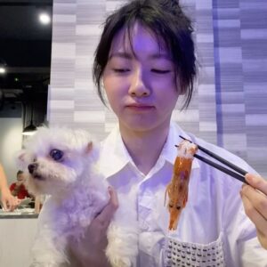 Cincin Jao Instagram - 今天這隻小狗很激動，放開居然往鍋子去，而且為沙茶醬而瘋狂，對肉沒什麼感覺對沙茶醬卻特別有興趣，果然不一般的小狗🤣
旺喜歡蝦餅 巧克力 堅果 咖啡 沙茶醬 日本料理，沒興趣的是雞腿跟肉類……