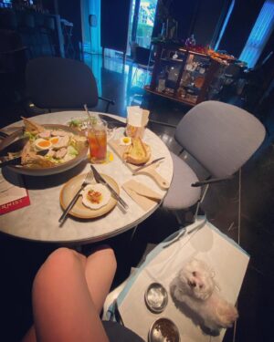 Cincin Jao Instagram - 上禮拜帶小寶逛COSTCO失敗，這禮拜直接衝寵物友善餐廳吃早午餐，這次除了不會被趕出來還有提供寵物用品，出門不用帶碗啦！阿寶玩得很開心玩的髒兮兮呀✌️
因為玩得太開心翻白眼嗎⋯⋯看起來很驚悚

#寵物友善 #金普頓大安酒店 
AD🌹