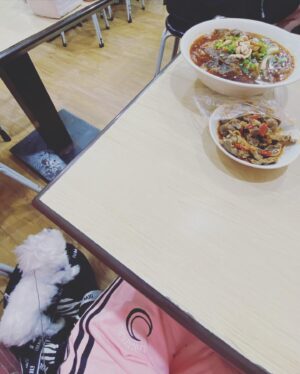 Cincin Jao Instagram - 昨天就答應旺寶洗澡今天有兜風，ㄧ上車就跳來跳去看來看去，不是那種平常的開心，她居然馬上知道坐的車不一樣，不知道是狗狗的直覺嗎？還是會認味道？認內裝？比我第一次坐上來表現的還開心一百倍耶😂小狗的開心超級直接!本旺表示對新的保鑣非常喜歡且雀躍不已！欸欸換保鑣這麼開心？難道都不會想想原本的保鏢去哪裡了？可能根本沒有想這麼多，要是我也像小狗一樣直線型想得這麼簡單就好😂

我們本來停好車到COSTCO，結果我們被趕出來了，因為小狗不能進入…………….
好餓～最後到了通化街吃酸辣粉，這個紅度叫做微辣我不相信！
回到家後本旺累到直接睡著了⋯

AD🌹