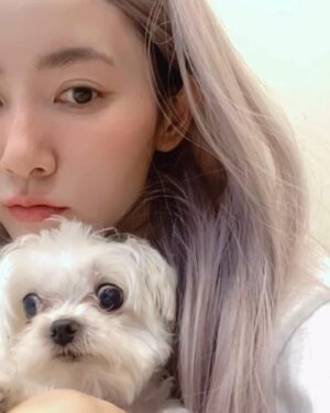 Cincin Jao Instagram - 小旺寶在想事情的時候都會露出眼白👀。

不染特殊色了，但假髮可以買很多頂過過癮就好，之前有染過紫色的頭髮，紫色滿好看的，但維持兩個禮拜後就開始變成灰紫色，灰色根本駕馭不了！於是就開始玩補色劑，因為本身是過敏體質，在染髮或是玩補色劑的時候，都會感覺到腹部痛痛的😱

確診過後開始落髮半年，每天洗頭ㄧ把一把掉，肩膀不時會落下頭髮，我都開玩笑說：「下頭髮雨了！」第二次確診比第一次掉的更慘，變成急性落髮，每天洗頭後房間地上滿滿的頭髮，拍恐怖片嗎😂！

試了一個多月終於找到解藥了，耐心治療中，養髮期間不染髮還是帶帶假髮就好💆🏻‍♀️💆🏻‍♀️💆🏻‍♀️
