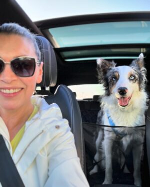 Clara de Sousa Instagram - Já estávamos com saudades de passeios num belo dia de sol, não estávamos @lucky.blue.eyes ?
#papasedescanso #solucky❤️ #diadefolga #bordercolliesofinstagram