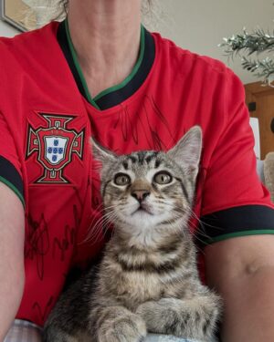 Clara de Sousa Instagram - O Horácio só tem 2 mesinhos mas já está a aprender a torcer pela seleção. Pena não ter uma camisola à medida. 😻 Força Portugal! 
#turquiavsportugal #euro2024