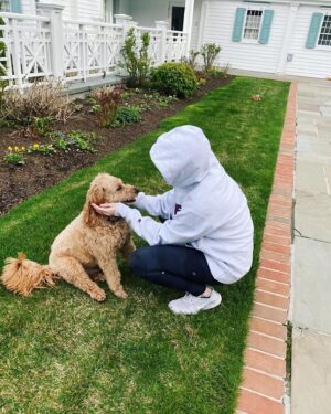 Clare Foley Instagram - Happy dog day Finn🥰