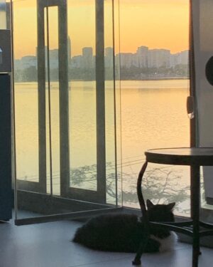 Claudia Souto Instagram - Flor e o pôr do sol ✨