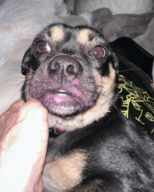 Claudia Wells Instagram - Someone ate my favorite lipstick…