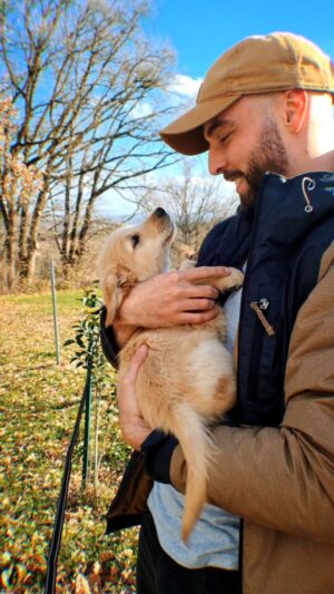Clément Dumais Instagram - Après 10 ans d'attente, j'ai enfin le temps et le cadre de vie pour l'accueillir, welcome home @rio.do.lago 🥹🥰

Ce regard, son expression, sa petite queue de rat, il est déjà beaucoup trop câlin, à l'écoute et presque propre (🤯). 
Quel bonheur les animaux, de l'amour pur, sincère et sans modération ! ❤️