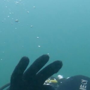 Clint Gordon Instagram - So happy to have passed my Divemaster. I've loved scuba diving this year with @bluefindiving. Learnt so much and met some amazing people. Another discipline ticked off on my stunt training journey, on to the next one 🦾