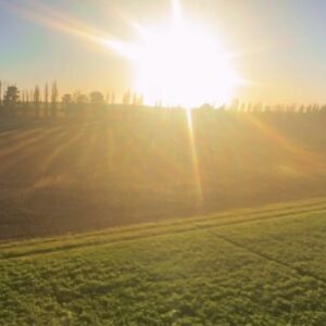 Clive Standen Instagram - Hot air ballooning, watching the Canterbury plains begin to wake, and seeing the sun rise upon high ...Magic.