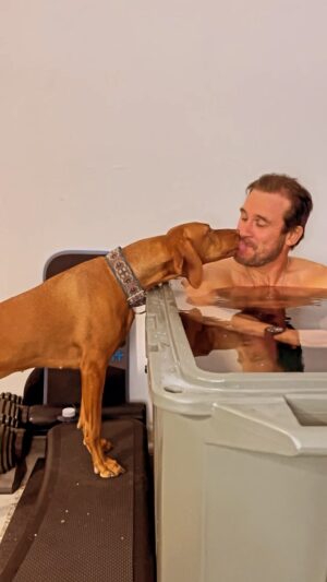 Clive Standen Instagram - The two best ways to clear my mind/condition my body...Drag my ass out on a run then tune my body & mind up with a @modtub cold plunge  EXTREME body cool downs brought to you with a little help from @margotfoxymartin the Vizsla 

#morningroutine #workout #dogsofinstagram #vizsla #modtub #coldplunge #coldplungetherapy #wimhof #vikingworkout #wellness #losangeles #topangacanyon