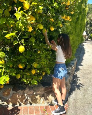 Coco Christo Instagram - 🍋🍋🍋