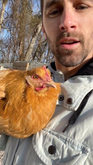 Cody Johns Instagram - I don’t want be the guy who said ‘I told you so’, but…. 🐓