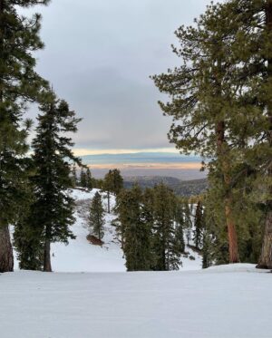Cody Linley Instagram - I enjoyed being in nature with my pals this weekend. ⛷ Wishing y’all the best! 🙏☮️❤️
•
•
•
#ski #mountainhigh #mountains #snow #codylinley #codylinleove #peace