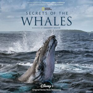 Colin O'Donoghue Instagram - This Earth Day, take a deep dive with #SecretsOfTheWhales, an Original Series from @NatGeo, executive producer James Cameron, and narrated by Sigourney Weaver. Streaming April 22 on @disneyplus
