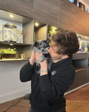 Connor Ball Instagram - puppy spam 🐶 @lilguyarlo