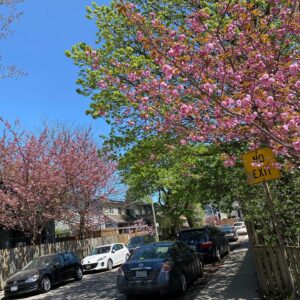 Connor Jessup Instagram - spring dump 🌸