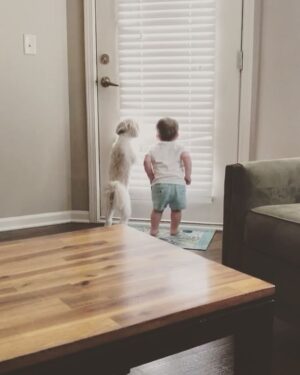 Corey Cott Instagram - This post is crushing it in my DMs right now so I thought I’d give it a permanent place on my feed. They also pooped at the same time right before this, so #bonding #poopsync
