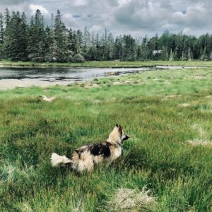 Corrine Koslo Instagram - Our first wee while in Chester Basin and Whale Lake.
Now back in Hubbards for awhile.
Shooting begins tomorrow.#moonshinecbc
#familytime