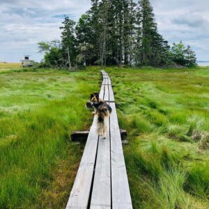 Corrine Koslo Instagram - Our first wee while in Chester Basin and Whale Lake.
Now back in Hubbards for awhile.
Shooting begins tomorrow.#moonshinecbc
#familytime