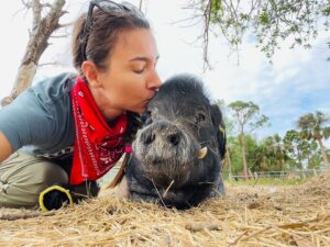 Cortney Palm Instagram - Today was my last day volunteering w/ @littlebearsanctuary as I am moving four hours away (I’ll still visit & may even join their development committee!) I’m going to miss all these beautiful souls. May we all turn towards a more compassionate way of living, by respecting all life & honoring the soul within. I am so grateful for my experience this year on the sanctuary! Even more grateful for all the donations, and all my fans who also helped support the sanctuary Especially after the recent hurricane! I will miss all these beautiful beings, they each had such fun, and unique personalities. - one love
.
.
.
.
.
#littlebearsanctuary #animalrescue #alllivesmatter #onelove #cutepig #cutecow #piglet #disney #donkey #fiona NOT #bacon