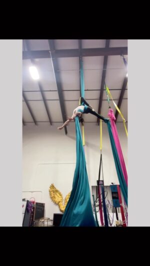 Cortney Palm Instagram - Life can be strange, heartbreaking, painful and downright bonkers - so you can find me up here tuning it all out. 
.
(new skills! I just returned to silks after a 6month hiatus!)
.
.
.
#aerial #aerialarts #aerialsilks #art #circus #flowstate #plantbasedathlete at @vertifitaerial learning from an outstanding coach!