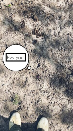 Cortney Palm Instagram - You are Good Enough - say it out loud - “I am good enough” — when all seems barren & lonely, that is when you grow the most if you allow it.… Saw this 🌺 while volunteering at @littlebearsanctuary - this week is my last week with them since I am moving away :( I’ll miss them! 
.
Music: Lazy Day
Musician: music by audionautix.com
License: https://creativecommons.org/licenses/by/4.0/legalcode
.
.
.
#flower #nature #empowerment #selflove #youareenough