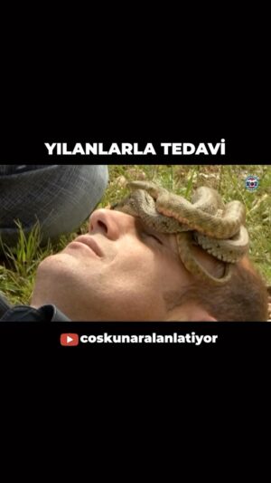 Coşkun Aral Instagram - Sıradışı tedaviler… Tamamı YouTube’da Coşkun Aral Anlatıyor kanalında, bağlantı hikayede ve profilde…
…
#alternatiftıp #bayburt #yılan