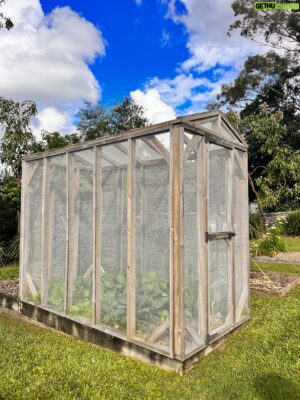 Costa Georgiadis Instagram - There is always something to see and take away from every garden and it’s one of the things I love the most without question about edible garden trails. This netting structure that you see was created in order to grow brassicas and help keep them free from the cabbage white butterfly laying it’s caterpillars with predictable results. Now the point to note about this particular structure is that it has been designed for the gardener and in this case the gardener is probably about 2m tall or 6ft4” on a wet hair day. Bending down and lifting grow tunnel netting is somewhat more difficult for someone this tall so this modular easily dismantled netting structure was what they came up with. Having such fine netting means that they sometimes will shake other veggies with ladybirds on them into the enclosure should they have a break out in any pests otherwise this modular rotational system is working really well for them. Of course you can always use a slightly less fine netting to allow the pollinators access and the structure itself could also be used with shade cloth or you could even use tunnel housing material and turn it into a mini glasshouse in the off-season. So many options. We can visit this garden and see this structure first hand this coming weekend at the @samfordediblegardentrail  18th/19thmay.
