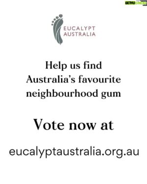 Costa Georgiadis Instagram - Just wanted to let you know that National Eucalypt Day is coming up next Saturday (23rd March), and voting for the Eucalypt of the Year will be closing this Wednesday night). 

This years theme for the eucalypt of the year is all about our urban eucalyptus, those fellow residents that share our suburbs, our streets, our parks, and our urban bushland. Their role only gets Moren more important and national eucalypt month is a chance to recognise and celebrate this uniquely Australian species of tree that is all around us.

Everything you need to vote is in the link just here. Keep an eye out for a live broadcast next weekend when we will announce this year’s winner.

https://www.eucalyptaustralia.org.au/eucalypt-of-the-year-2024/