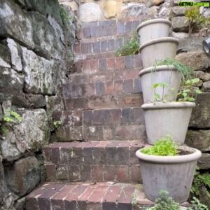 Costa Georgiadis Instagram - There is always space hidden in plain view offering us the chance to grow just when we thought we were maxxed out. Containers on a staircase are  a chance to have a herb garden like this simple one. Don’t underestimate the power of the potted plant to grow a garden.  #containergardening #herbsinpots #growyourownfood🌱 #growitlocal #herbs