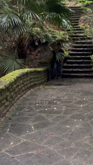 Costa Georgiadis Instagram - Have you had to resort to a palmbrella  when the rain catches you unaware. Well thats where  our cinematographer Sam found cover when we were filming in Coper Park and the rain snuck up on us. We always have a mix of little@lwft field challenges when it comes to filming for @gardeningaustralia  and there is always a way around them.  The #palmbrella  did the job  Cooper Park is a@slice of bushland squashed between bindi junction, woollahra , and double bay that is the most immediate “get out of the city” when you are in the city opportunity to be immersed in nature . #cooperparksydney  #naturewalk