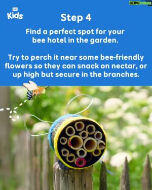 Costa Georgiadis Instagram - Save this for a crafternoon with the kids #GardeningAustraliaJr 🐝