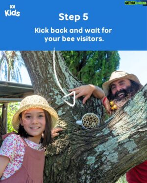 Costa Georgiadis Instagram - Save this for a crafternoon with the kids #GardeningAustraliaJr 🐝