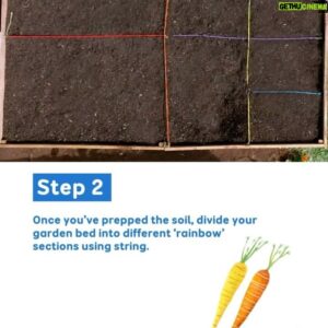 Costa Georgiadis Instagram - A weekend activity that’s good enough to eat! 🍅🥕🌽🥬🥦 

Gardening Australia Junior - Stream now on ABC iview via the link in bio. 

#GardeningAustraliaJr #VeggieGarden #DIY