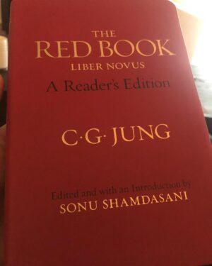 Costa Ronin Instagram - My supplementary read to season 8 scripts is here... #Homeland #CarlJung #TheRedBook