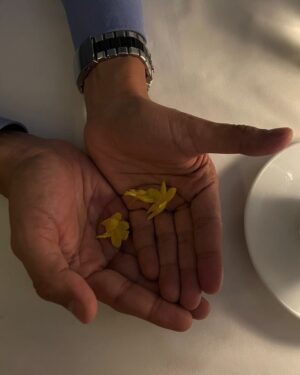 Costanza Andrade Instagram - Gracias. 
Que siga fertilizando el polvo divino nuestro camino, niño del Sol.