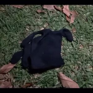 Creed Bratton Instagram - Just had a cameo in this young directors first film. Super Mario the big adventure 2020 (not for kids in) final chapter. Look for it on YouTube