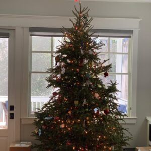 Cress Williams Instagram - #merrychristmas to all!!!